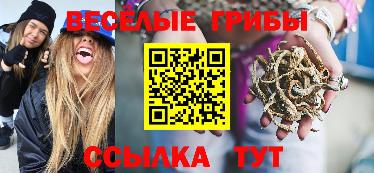 Псилоцибиновые грибы мицелий Городец