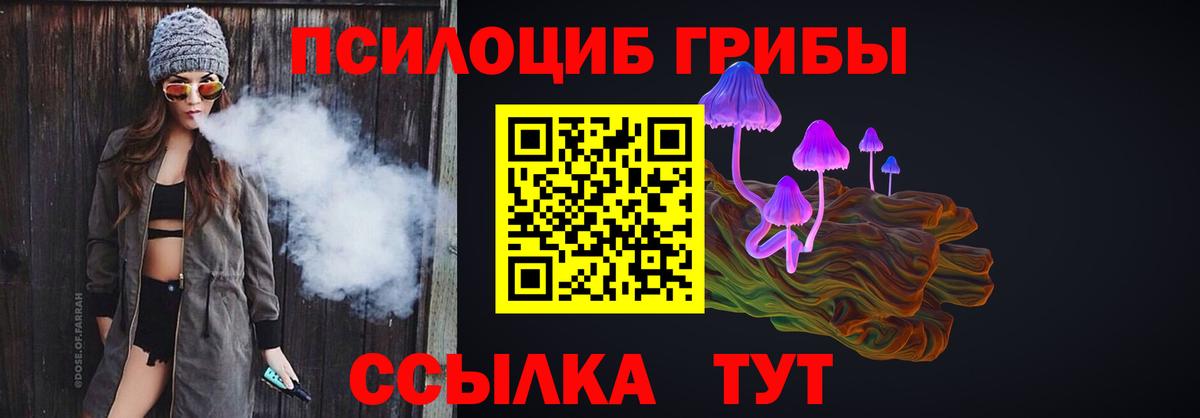 Городец  Галлюциногенные грибы MAGIC MUSHROOMS  Вход с VPN 